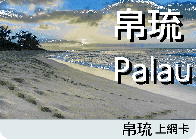 帛琉網卡 Palau PMCI網卡(M)